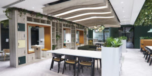 An internal shot of the Landmark Orchard Place offices in Victoria