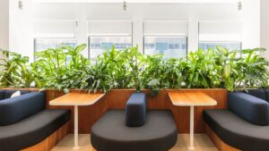 Coworking desks in a plant-filled environment at WeWork - 575 Lexington Avenue, New York, NY 10022