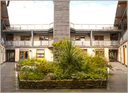 A shot of the courtyard at York Eco Business Centre showing some of the plant life