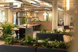 Open plan office space with biophilia at GPE - Woolyard, 52–56 Bermondsey Street, London Bridge, SE1 3JG