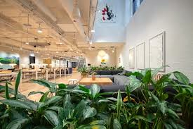 Workspace with lots of plants at Oneder - Shoreditch Exchange, Senna Building, Gorsuch Place, London E2 8JF