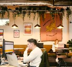 A well-lit coworking space with lots of plats at Drop-In - 50 George Street, Richmond, TW9 1HJ