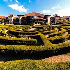 The maze in the foreground of a shot of FigFlex - Lynch Wood Park, Peterborough, PE2 6FY