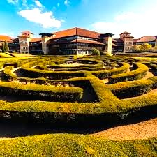 Office space at Lynch Wood Park in Peterborough with maze in the foreground