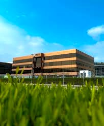 Czar Workspace - Falcon House, Dubai Investment Park (DIP), Dubai with greenery in the foreground